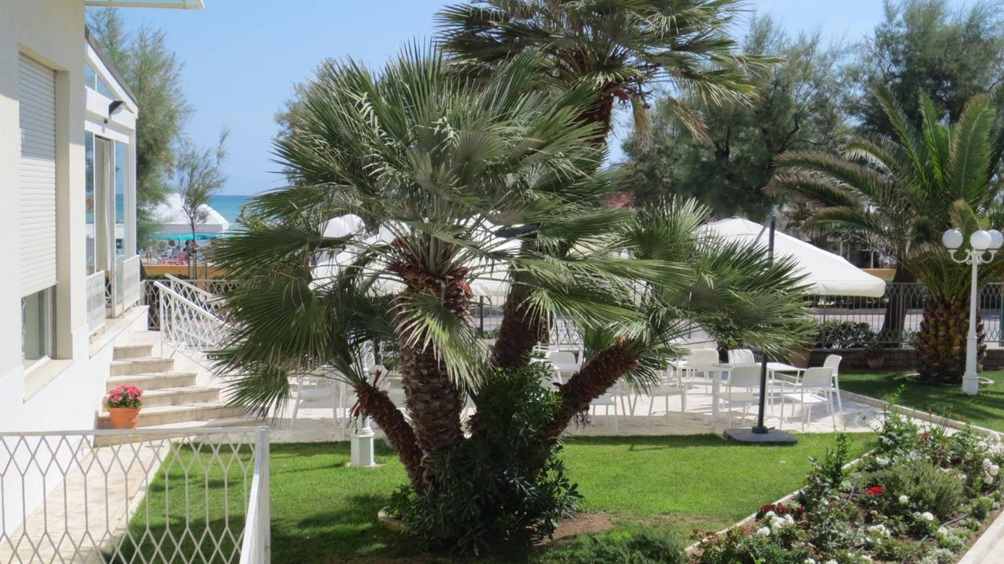 Hotel Majestic Senigallia Exteriör bild